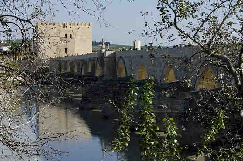 Córdoba 002 - Puente Romano y Torre de la Calahorra.jpg